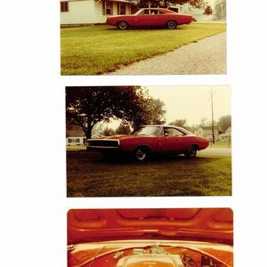 Meet your Posher, Robert